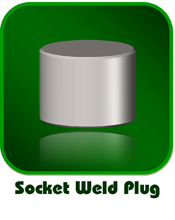 Socket Weld Plug