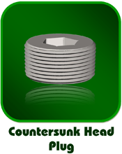 Countersunk Head Plug