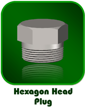 Hexagon Head Plug